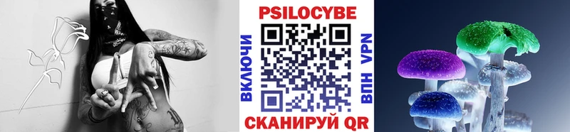 Псилоцибиновые грибы прущие грибы  площадка формула  Горбатов  цены наркотик 